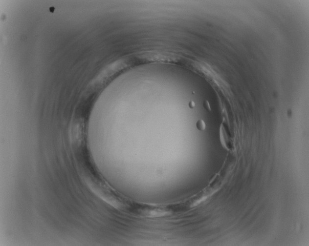 X0000084010165200703022040