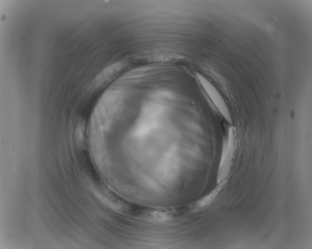 X0000084010166200703022040