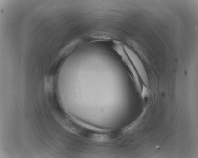 X0000084010167200703022040