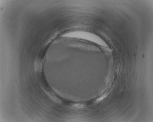 X0000084010168200703022040