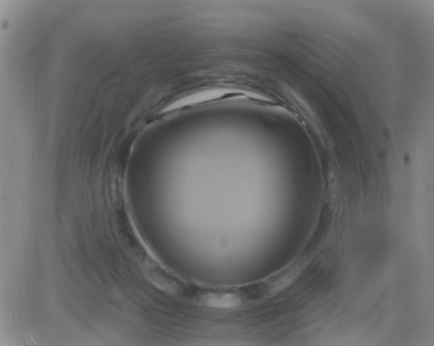 X0000084010169200703022040