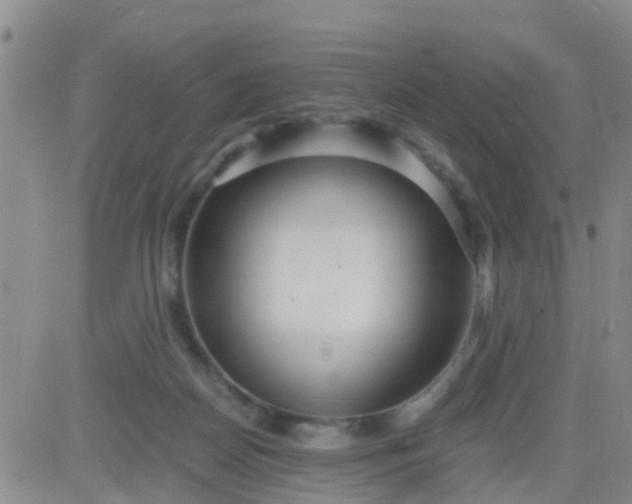 X0000084010170200703022040