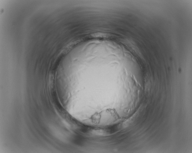 X0000084010171200703022040