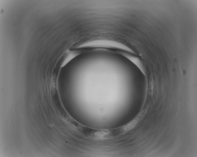 X0000084010172200703022040