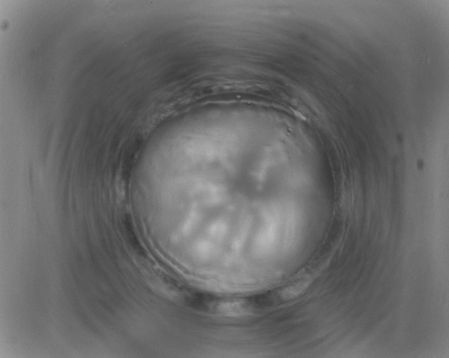 X0000084010173200703022040