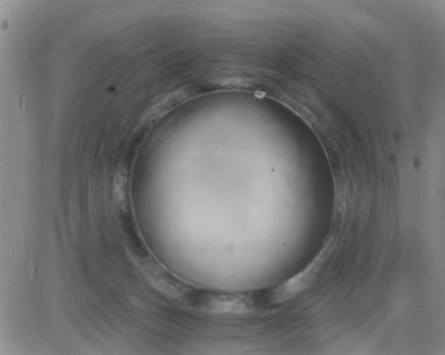 X0000084010175200703022040