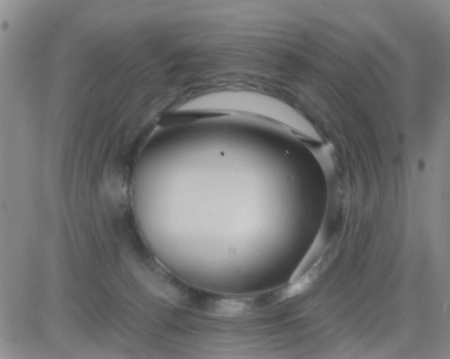 X0000084010176200703022040