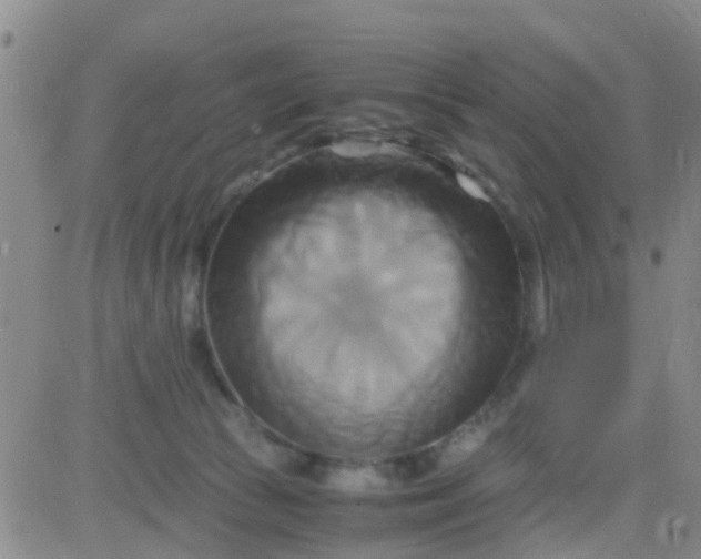 X0000084010177200703022040