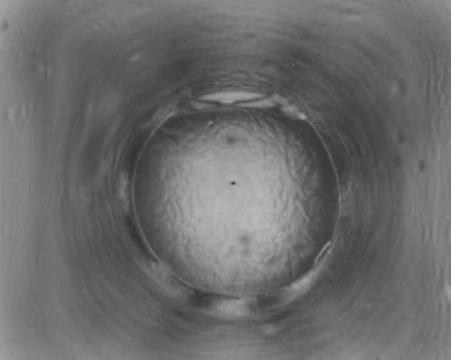 X0000084010178200703022040