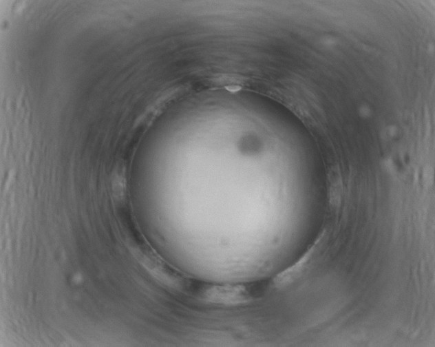 X0000084010179200703022040