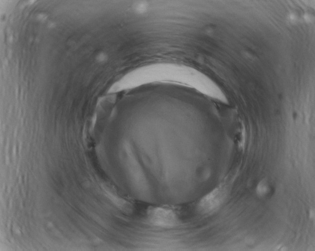 X0000084010180200703022040