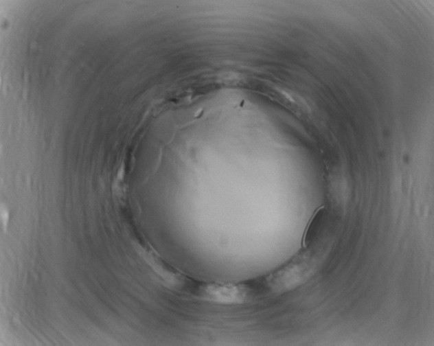 X0000084010181200703022041