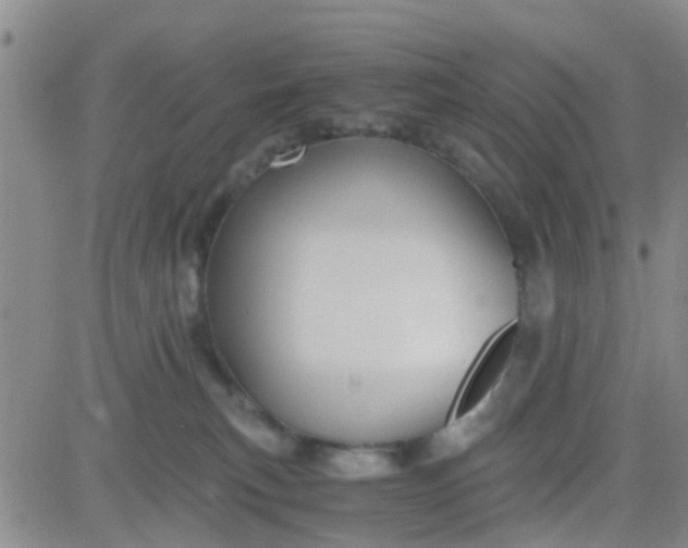 X0000084010183200703022041