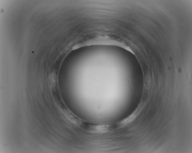 X0000084010184200703022041