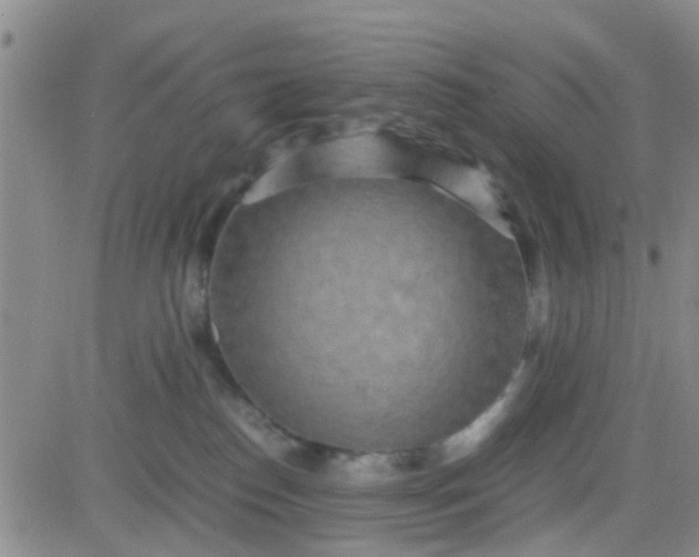 X0000084010186200703022041