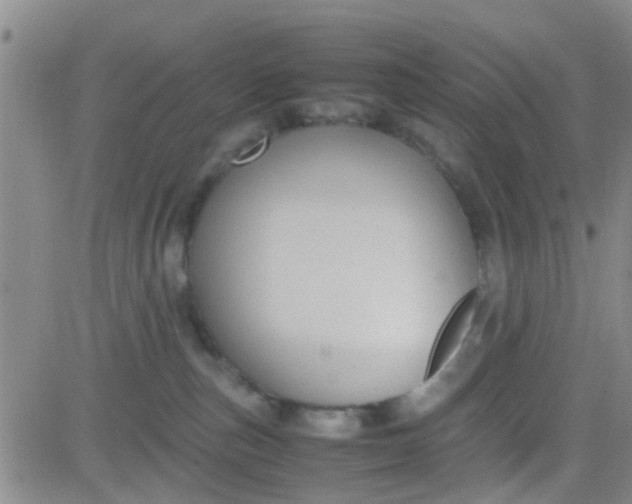 X0000084010187200703022041