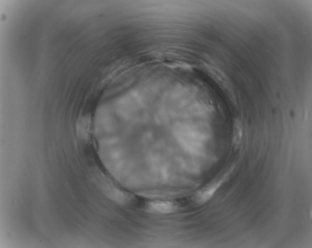 X0000084010189200703022041