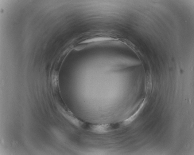 X0000084010191200703022041