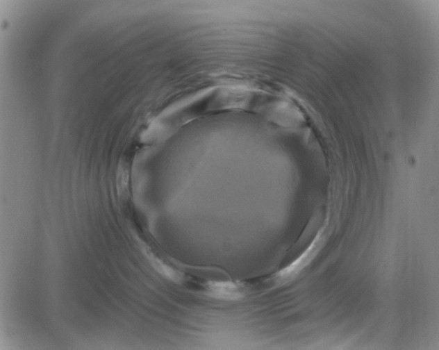 X0000084010192200703022041