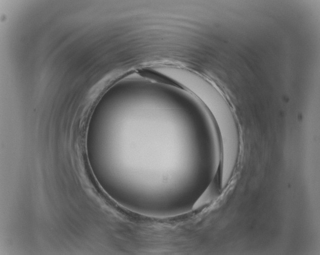 X0000084010193200703022040