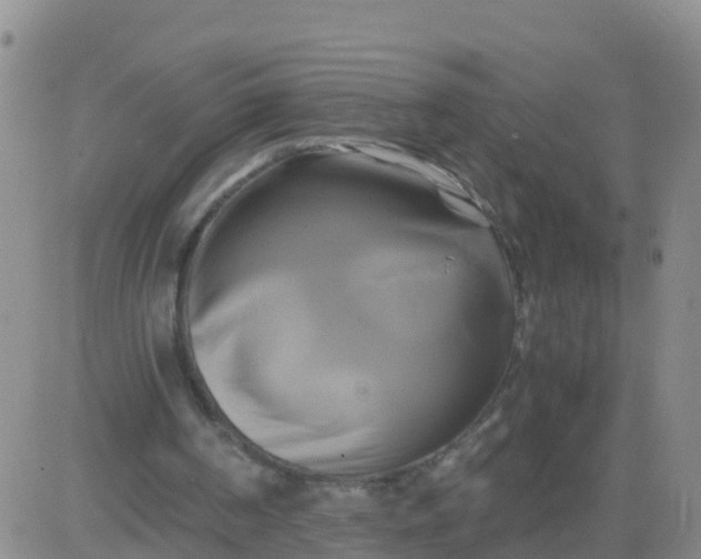 X0000084010194200703022040