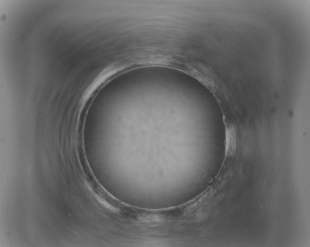 X0000084010195200703022040