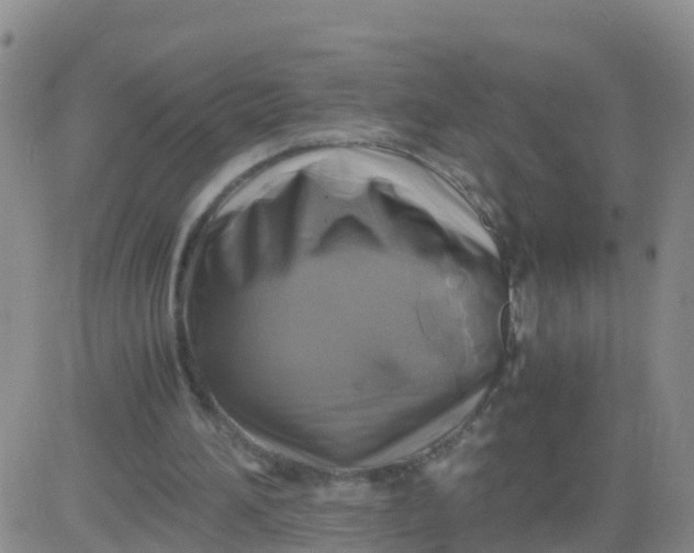 X0000084010196200703022040