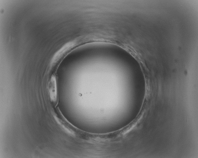 X0000084010197200703022040