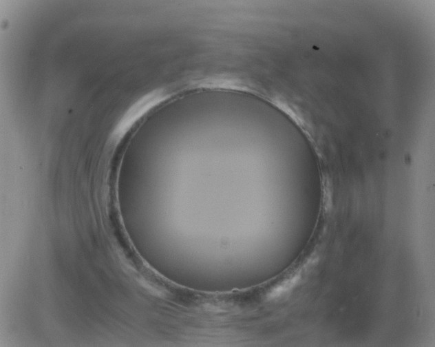 X0000084010199200703022040