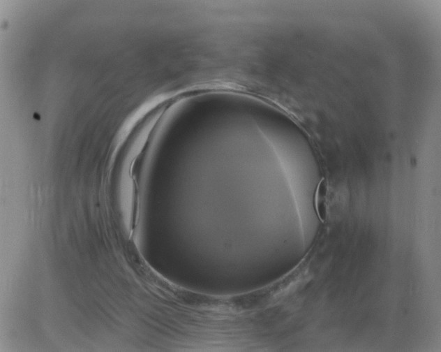 X0000084010200200703022040