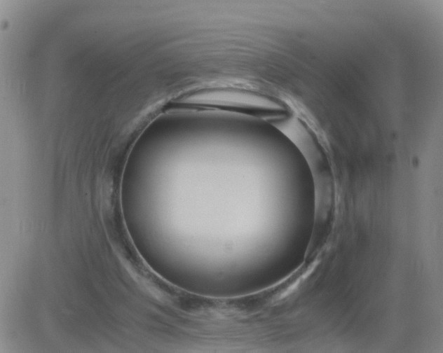 X0000084010201200703022040