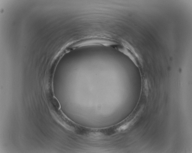 X0000084010203200703022040