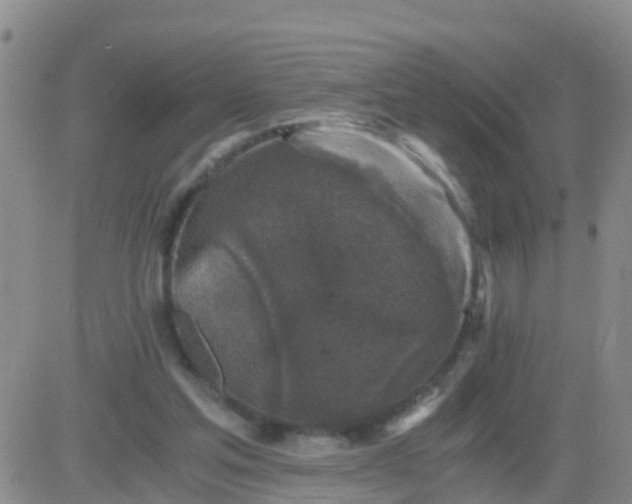 X0000084010205200703022040