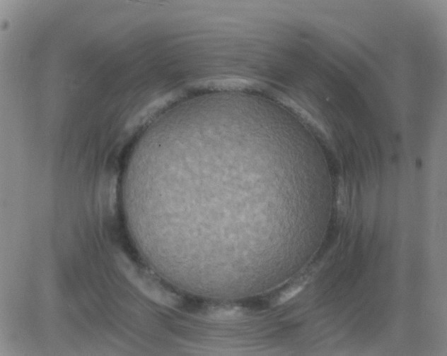 X0000084010206200703022040