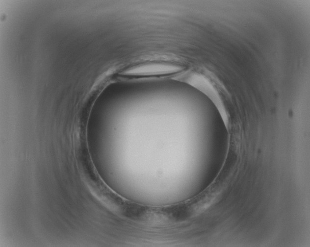 X0000084010207200703022040