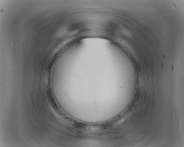 X0000084010208200703022040