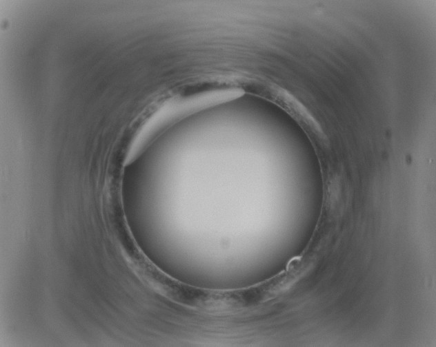 X0000084010209200703022040