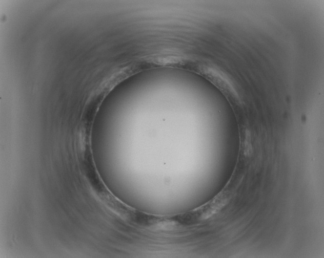 X0000084010210200703022040