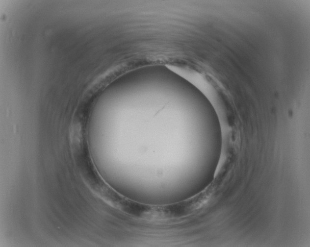 X0000084010211200703022040