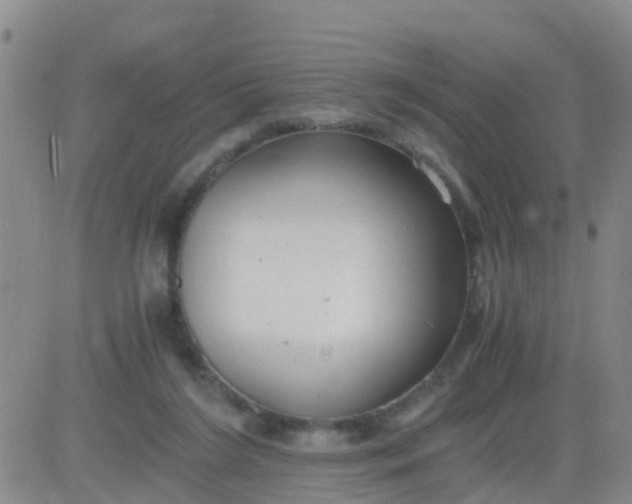 X0000084010212200703022040