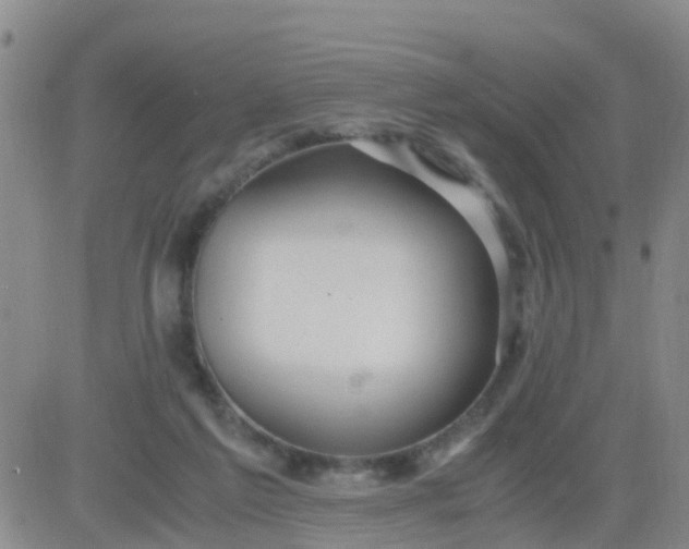 X0000084010213200703022040