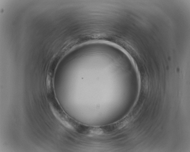 X0000084010214200703022040