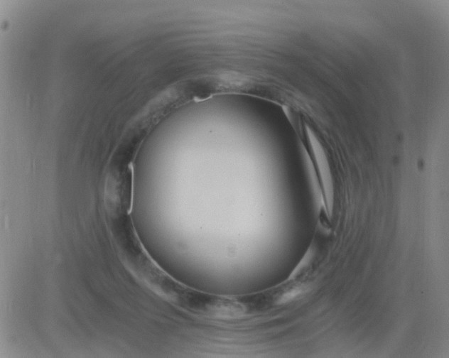 X0000084010215200703022039