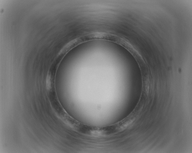 X0000084010216200703022039