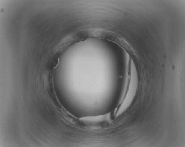 X0000084010217200703022039