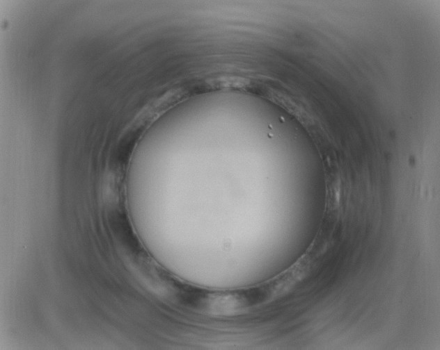 X0000084010218200703022039