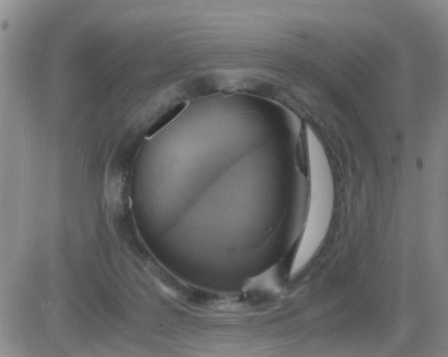 X0000084010219200703022039