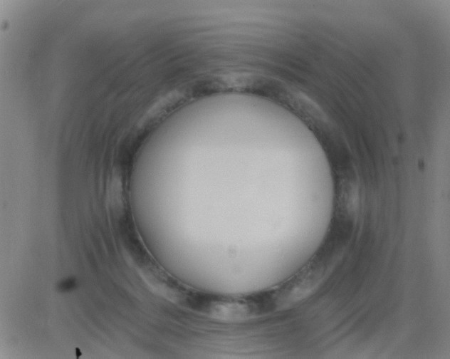 X0000084010220200703022039