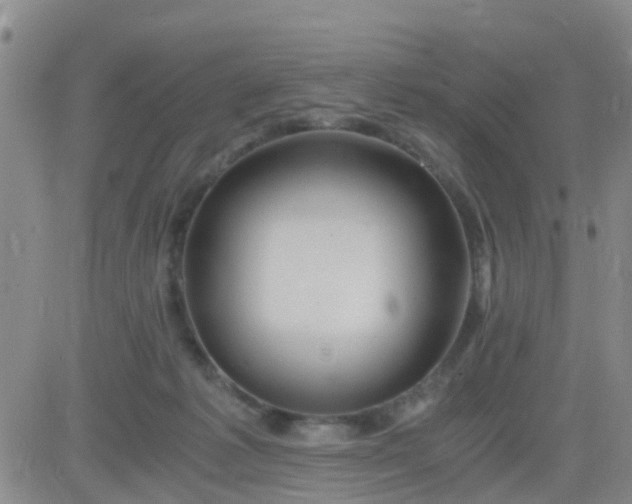 X0000084010221200703022039