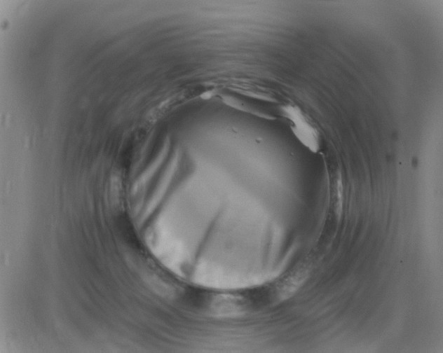 X0000084010222200703022039